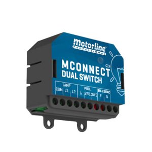 DUAL SWITCH